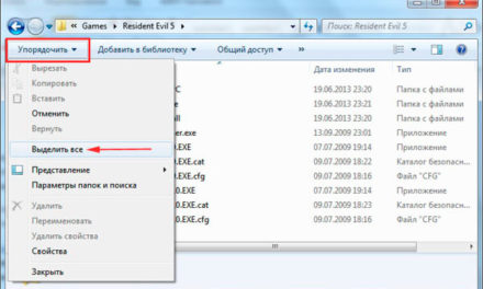 Способы выделения файлов и папок в Windows 7, 8