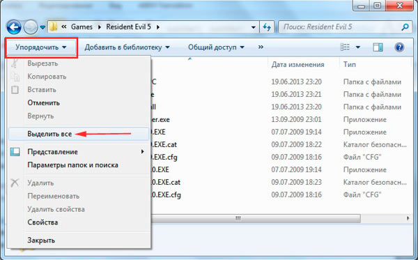 Способы выделения файлов и папок в Windows 7, 8