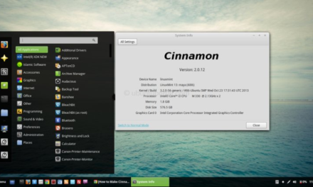 Как сделать Cinnamon 2.0 доступной на Ubuntu Desktop