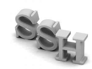 Как получить доступ к SSH терминалу в веб-браузере на Linux