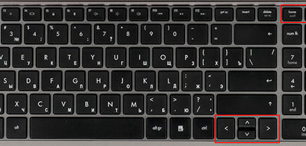 Способы выделения текста клавиатурой и мышкой